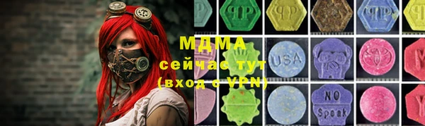 сатива Няндома