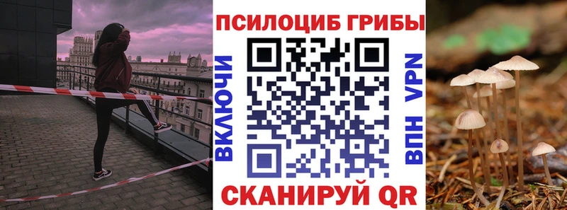 блэк спрут маркетплейс  цена наркотик  Анадырь  Галлюциногенные грибы ЛСД 